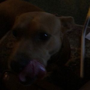 Meet your Posher, Vickie